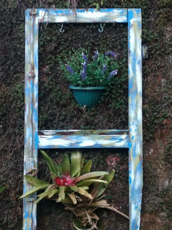 Appartamento Apartamento Na Serra Petrópolis Esterno foto
